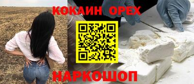 индика Обь