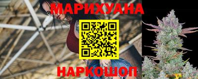 индика Обь