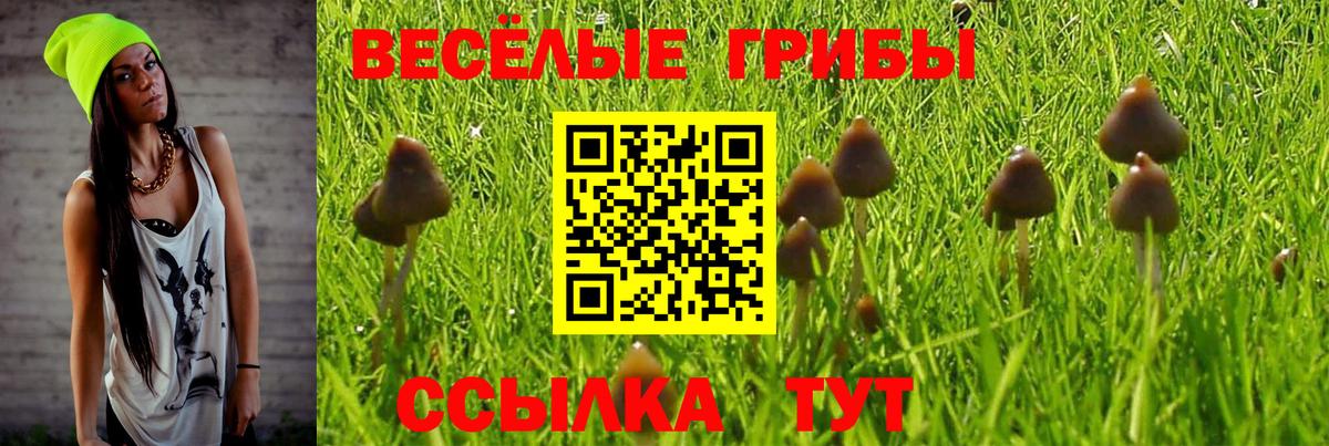 Псилоцибиновые грибы MAGIC MUSHROOMS Светлоград