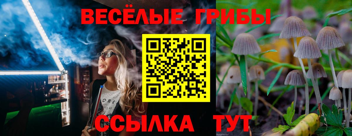 Галлюциногенные грибы GOLDEN TEACHER  хочу   Вход с VPN  Светлоград  Псилоцибиновые грибы ЛСД 